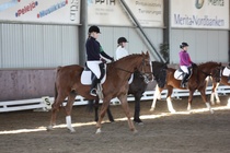 Ryhmäkoulu
© Anna K