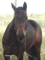 © Marianna Riepponen