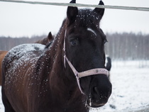 © Fanni-Lotta Haataja