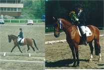 © Piia Ahtee-Koponen