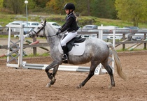 © Filippa Westerlund