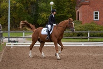 © Filippa Westerlund