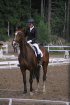 Rondy Stenman - Biko (rekisterinimi Igo Drosmigais), 
© Rondy Stenman / Teresa Pollari