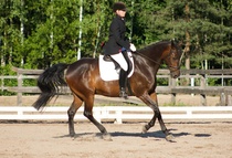 © Filippa Westerlund