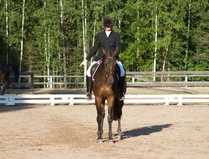 © Filippa Westerlund