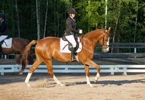 © Filippa Westerlund