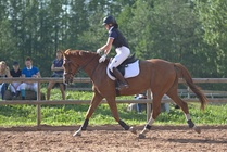 Kuva Primus / Emilia Alamäki