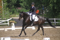 Elisa Kankkunen - Rex (rekisterinimi Rekets) © Rondy Stenman / Teresa Pollari