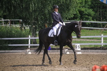 Elisa Kankkunen - Rex (rekisterinimi Rekets) © Rondy Stenman / Teresa Pollari