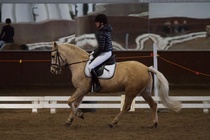 © Filippa Westerlund