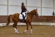 © Filippa Westerlund