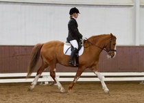 © Filippa Westerlund