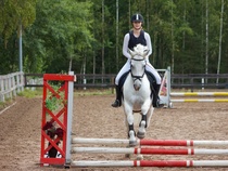 © Filippa Westerlund 