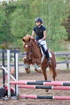 © Filippa Westerlund 