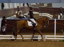 © Filippa Westerlund