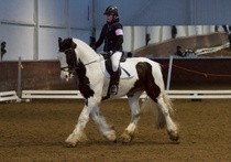 © Filippa Westerlund