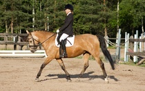 © Filippa Westerlund