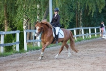 © Filippa Westerlund