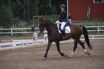 Rondy Stenman - Biko (rekisterinimi Igo Drosmigais), 
© Rondy Stenman / Teresa Pollari