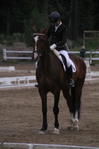 Rondy Stenman - Biko (rekisterinimi Igo Drosmigais), 
© Rondy Stenman / Teresa Pollari