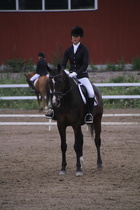 Teresa Pollari – Victor (rekisterinimeltään Victor vd Kiekenshoef) © Rondy Stenman / Teresa Pollari