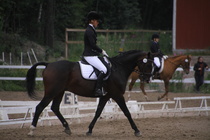 Teresa Pollari – Victor (rekisterinimeltään Victor vd Kiekenshoef) © Rondy Stenman / Teresa Pollari