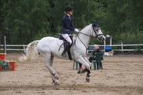 Hanna Kanerva - Silver (rekisterinimeltään Silver Promise) © Rondy Stenman / Teresa Pollari