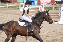 Milla Himberg – Osborne (rekisterinimi Otto-Osborn) © Rondy Stenman / Teresa Pollari