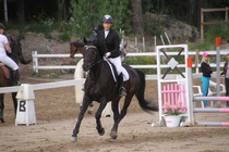 Iiris Hakaste - Rex (rekisterinimi Rekets) © Rondy Stenman / Teresa Pollari