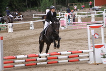 Iiris Hakaste - Rex (rekisterinimi Rekets) © Rondy Stenman / Teresa Pollari