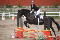 Iiris Hakaste - Rex (rekisterinimi Rekets) © Rondy Stenman / Teresa Pollari