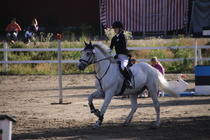 Viivi Sahramo - Silver (rekisterinimi Silver Promise) © Rondy Stenman / Teresa Pollari