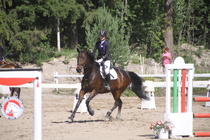 Ronja Nurminen – Osborne (rekisterinimi Otto-Osborn) © Rondy Stenman / Teresa Pollari