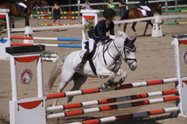 Hanna Kanerva - Silver (rekisterinimeltään Silver Promise) © Rondy Stenman / Teresa Pollari