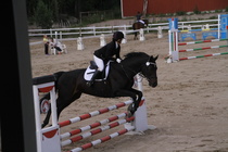 Jeanette Tinnis - Rex (rekisterinimi Rekets) © Rondy Stenman / Teresa Pollari