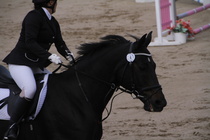 Jeanette Tinnis - Rex (rekisterinimi Rekets) © Rondy Stenman / Teresa Pollari