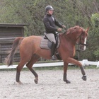 Teemu ja Seppo treenileirillä Saksassa keväällä 2017, kuva Anne Keinonen.