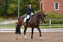 © Filippa Westerlund