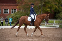 © Filippa Westerlund