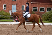 © Filippa Westerlund