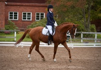 © Filippa Westerlund