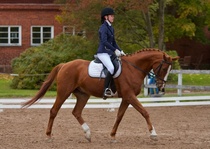 © Filippa Westerlund