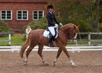 © Filippa Westerlund