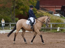 © Filippa Westerlund