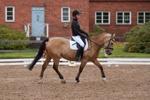 © Filippa Westerlund