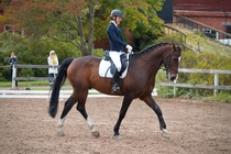 © Filippa Westerlund