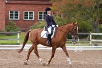 © Filippa Westerlund