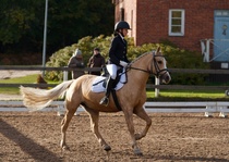 © Filippa Westerlund