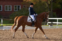 © Filippa Westerlund