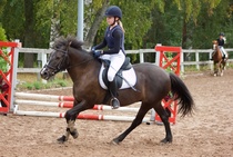 © Filippa Westerlund 